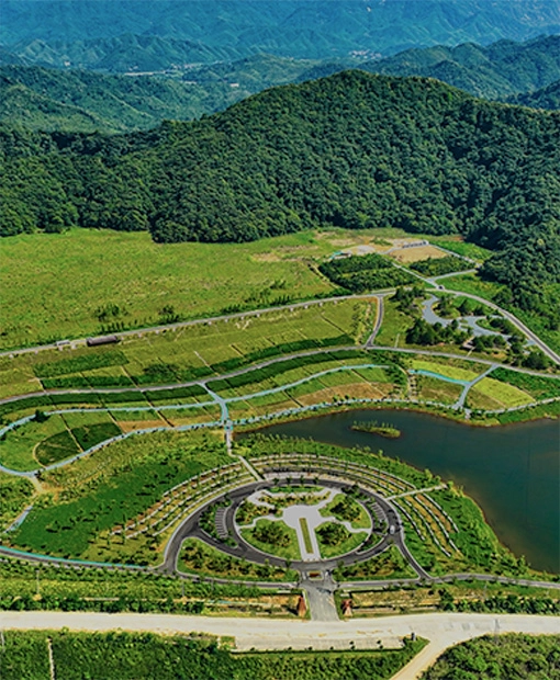 ���ܻ���